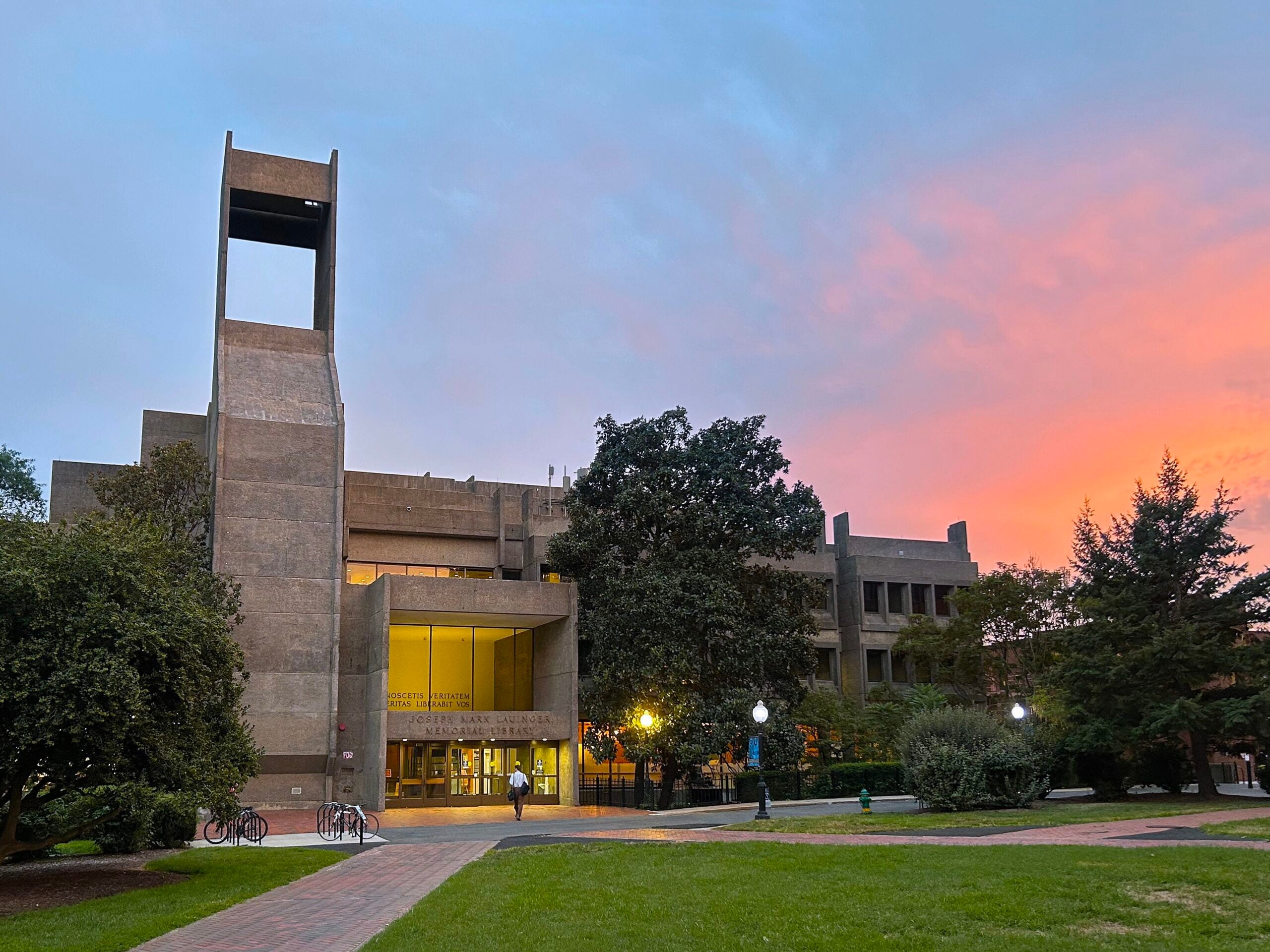 lauinger at sunset