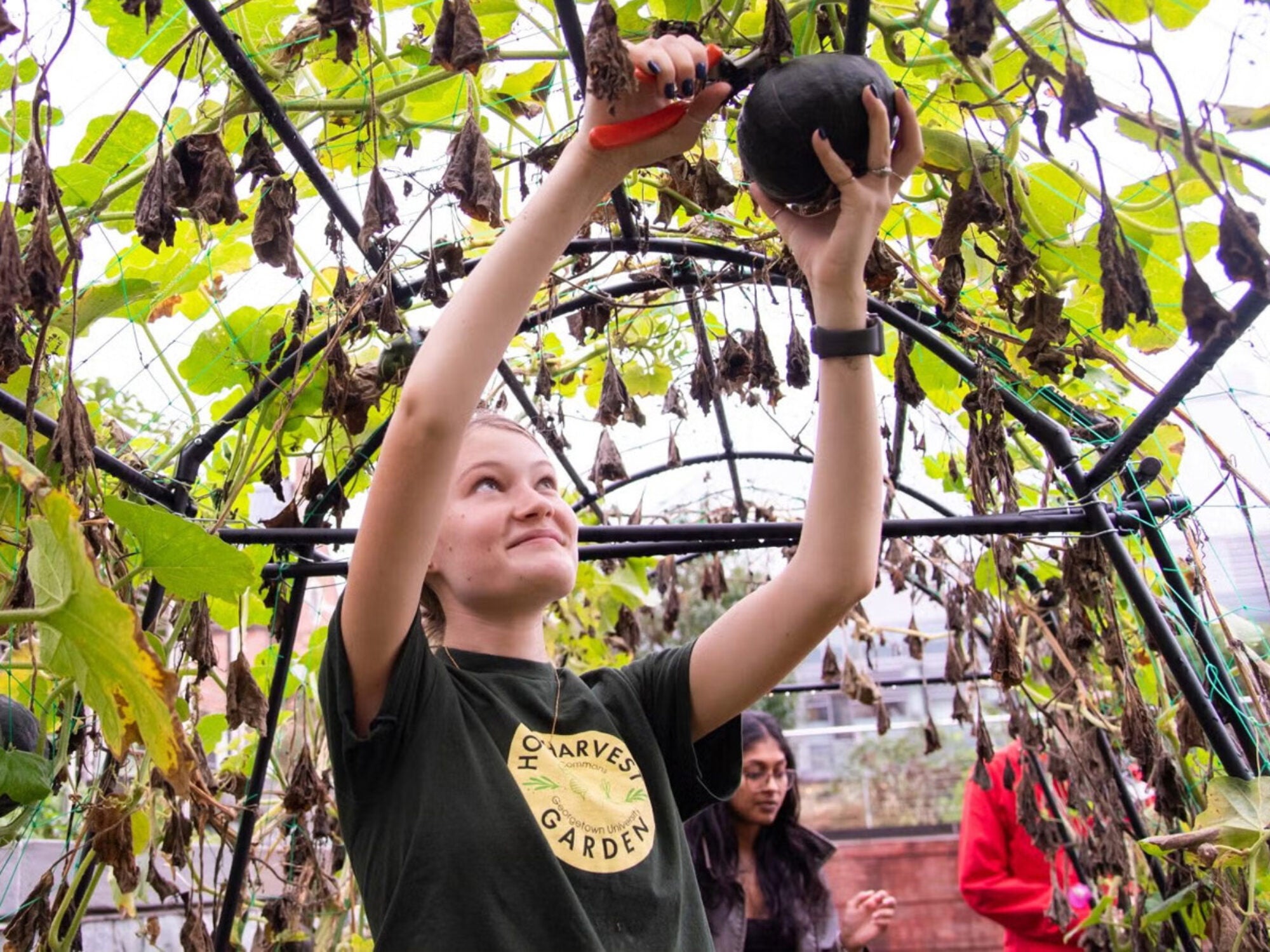 student smiling getting fruit off a tree