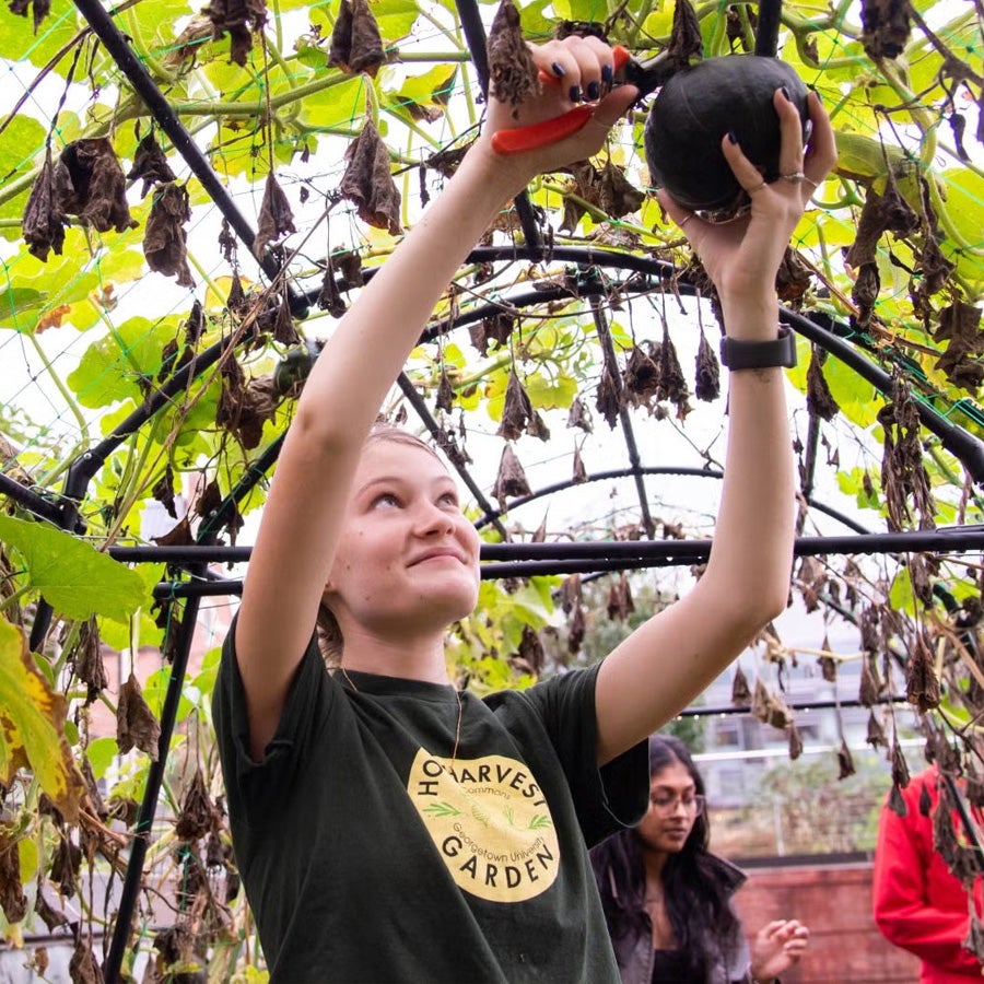 student smiling getting fruit off a tree